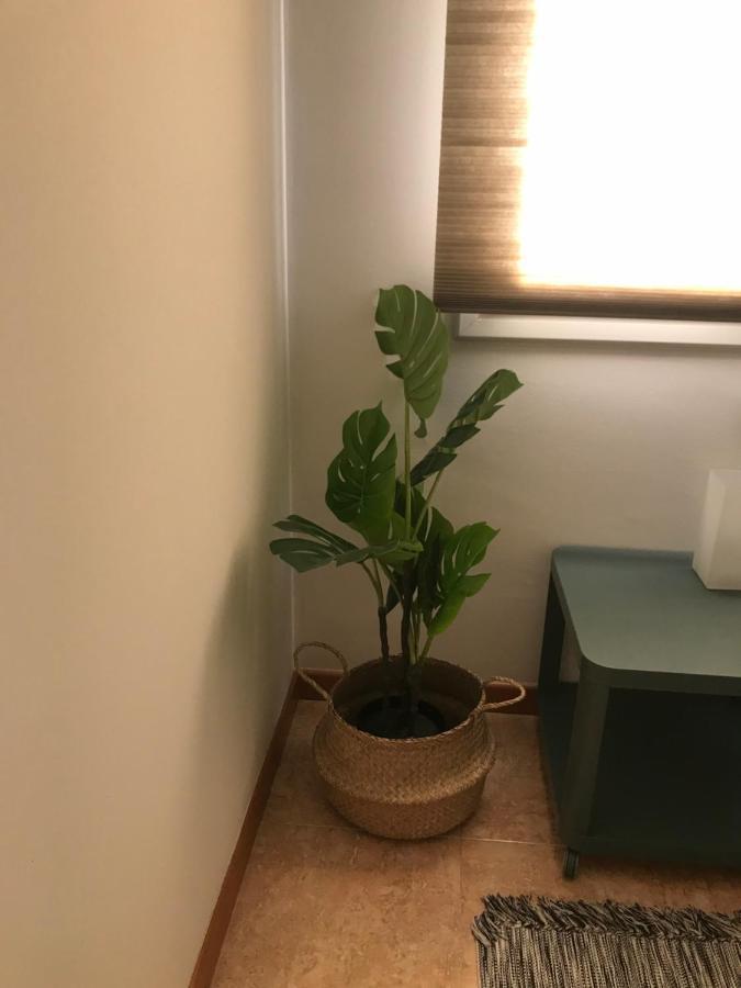 Apartamento Recien Reformado Con Vistas Al Rio Balaguer Kültér fotó
